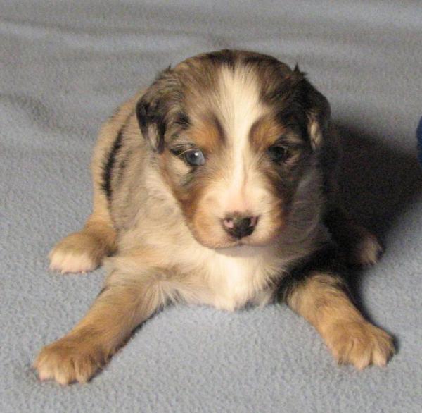 3 weeks old