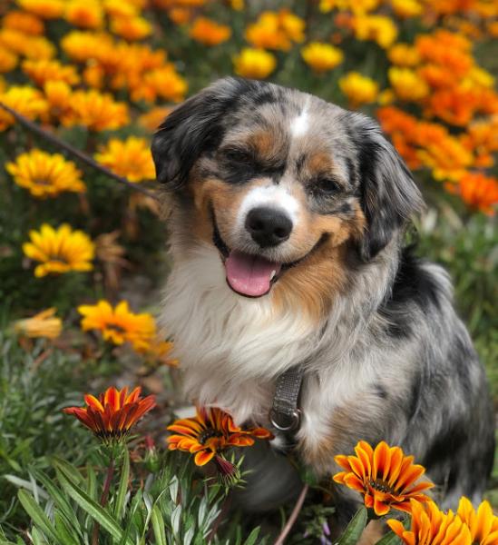 Happy Spring!