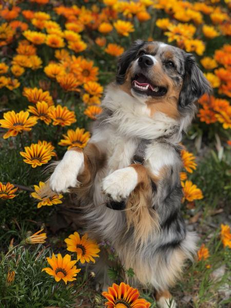 Happy Spring!