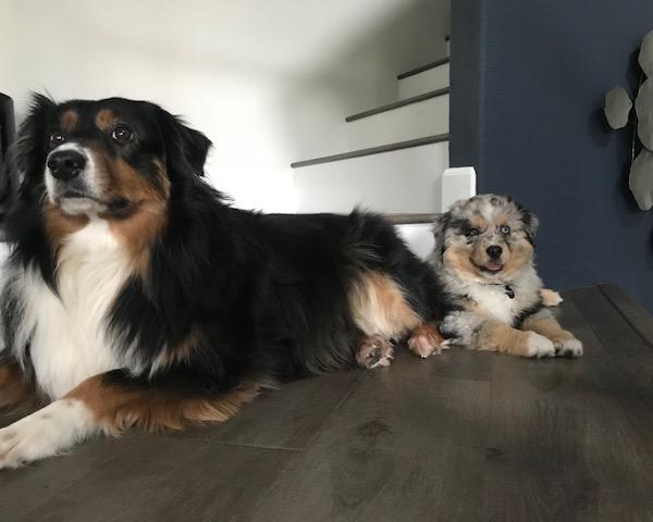 Hanging with his friend Dixie!