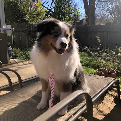 All grown up!