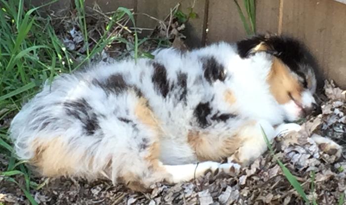 All that gardening can wear a guy out...