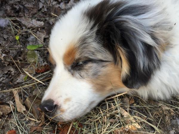 All that gardening can wear a guy out...