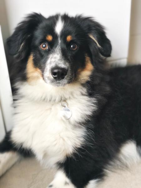 Yoshi is growing up!