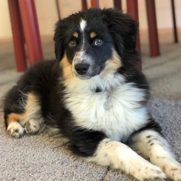 Yoshi is growing up!