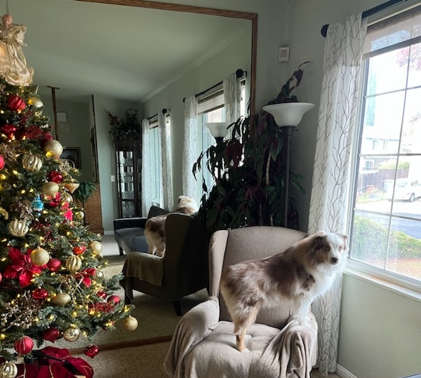 Abby loves watching the Grinch!