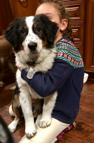 Dillon