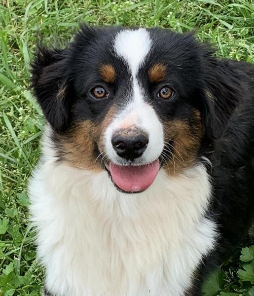 6 months old