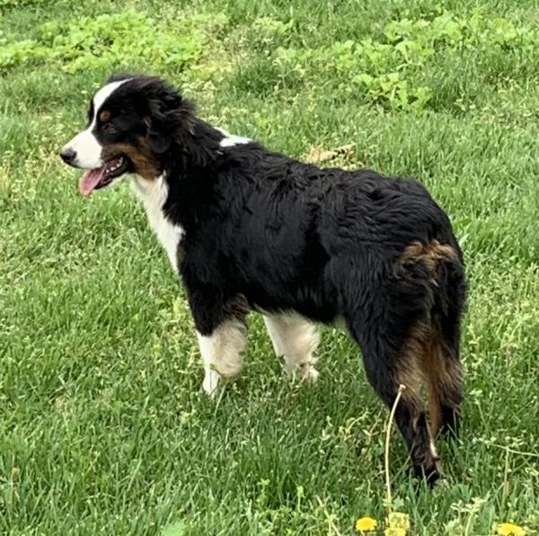 6 months old