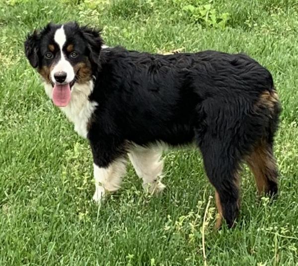 6 months old