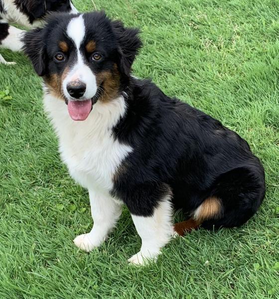 6 months old