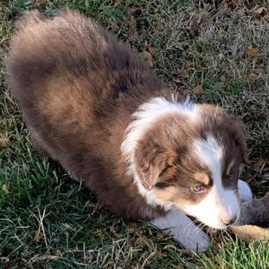 Maggie