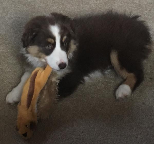 Maggie