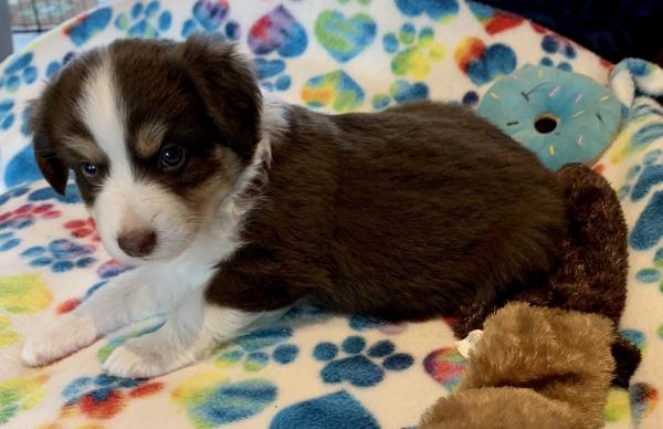 5 weeks old