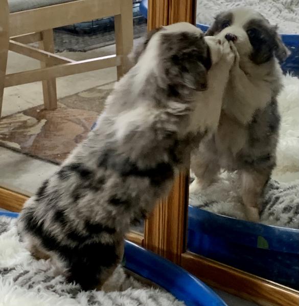almost 8 weeks old