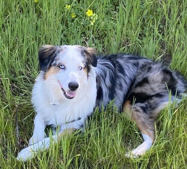 One Year Old!