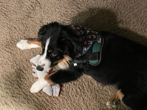 Max