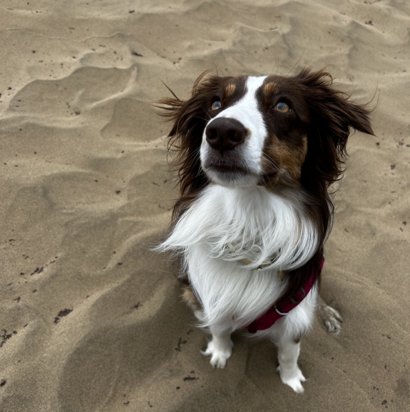 2 years old!