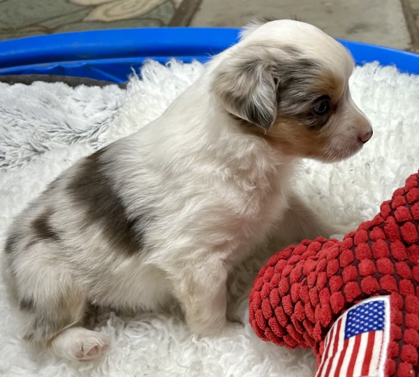 5 weeks old